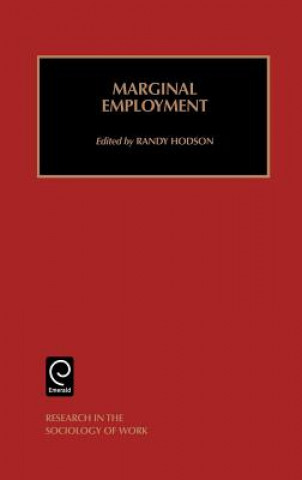 Kniha Marginal Employment R. Hodson