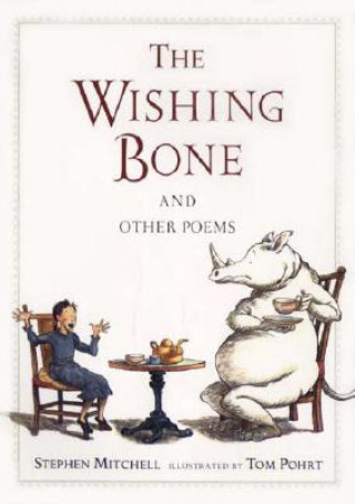 Kniha Wishing Bone and Other Poems Stephen Mitchell