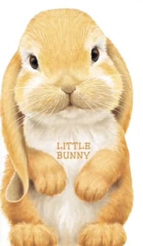 Kniha Little Bunny L. Rigo