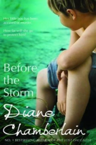 Könyv Before The Storm Diane Chamberlain