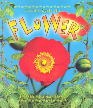Kniha Life Cycle of the Flower Molly Aloian