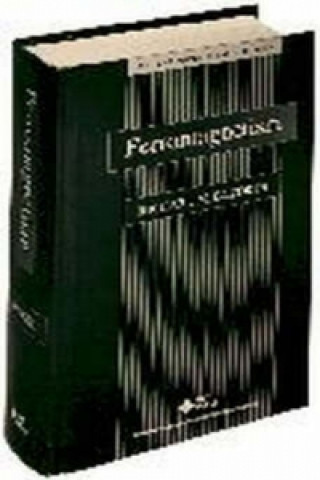 Kniha Ferromagnetism  (An IEEE Press Classic Reissue) Bozorth