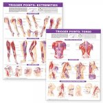 Könyv Trigger Point Chart Set: Torso & Extremities Paper 