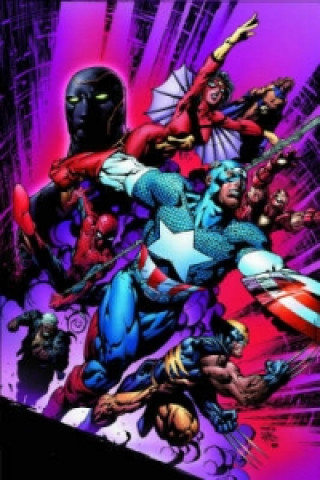 Carte New Avengers Vol.3: Secrets & Lies Brian Michael Bendis