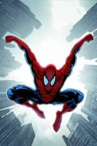 Kniha Spider-man: Brand New Day Vol.2 Chris Bachalo