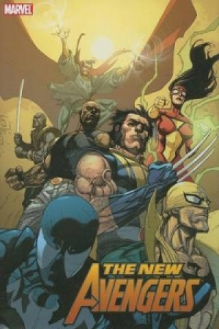 Könyv New Avengers Vol.3 Alex Maleev