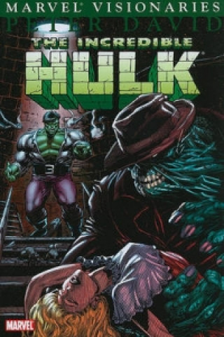 Książka Hulk Visionaries: Peter David Vol.7 Eric Fein