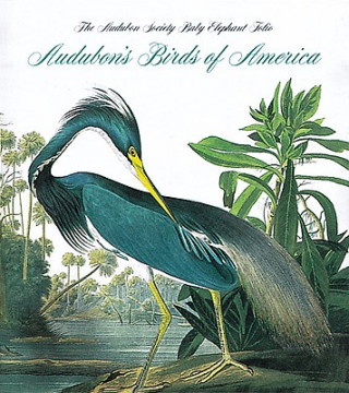 Kniha Audubon's Birds of America Roger Tory