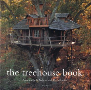 Książka Treehouse Book David Larkin