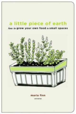 Kniha Little Piece of Earth Maria Finn