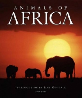 Carte Animals of Africa Thomas B Allen