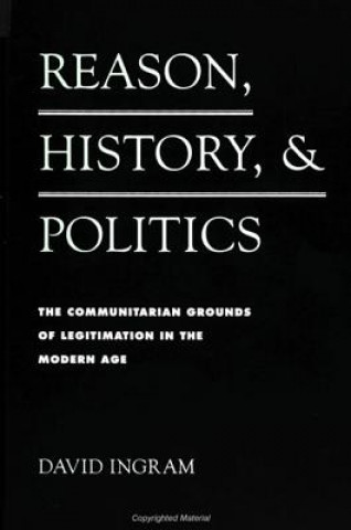 Könyv Reason, History, and Politics David Ingram