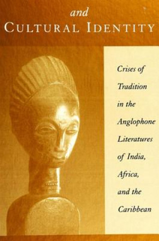 Boek Colonialism and Cultural Identity Patrick Colm Hogan