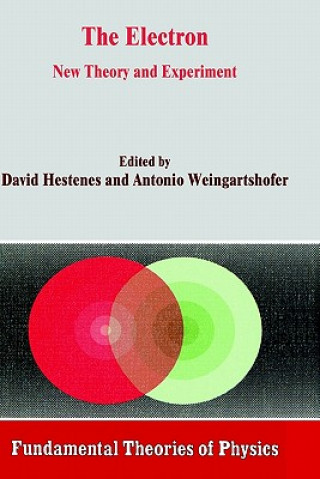 Knjiga Electron David Hestenes