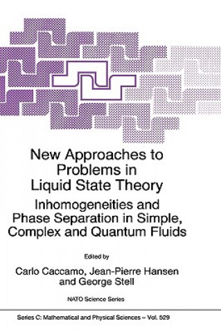 Könyv New Approaches to Problems in Liquid State Theory Carlo Caccamo