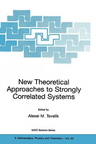 Könyv New Theoretical Approaches to Strongly Correlated Systems Alexei M.