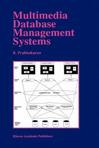 Kniha Multimedia Database Management Systems B.