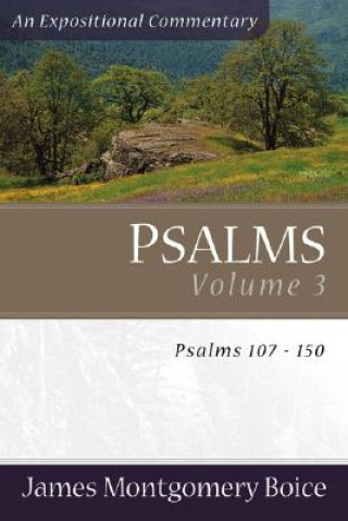 Knjiga Psalms - Psalms 107-150 James Montgomery Boice