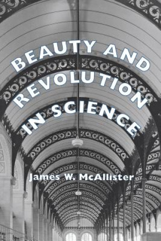 Buch Beauty and Revolution in Science James W McAllister