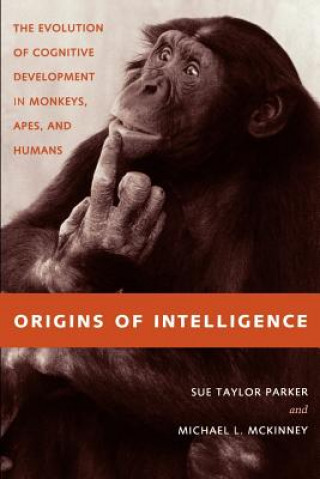 Könyv Origins of Intelligence Sue Taylor Parker