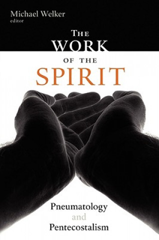 Kniha Work of the Spirit Michael Welker