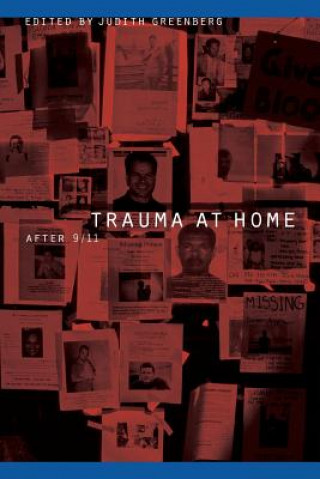 Könyv Trauma at Home Judith Greenberg
