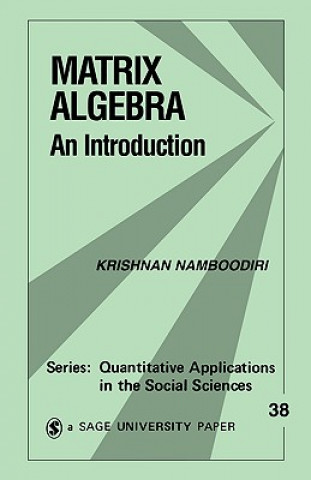 Kniha Matrix Algebra Krishnan