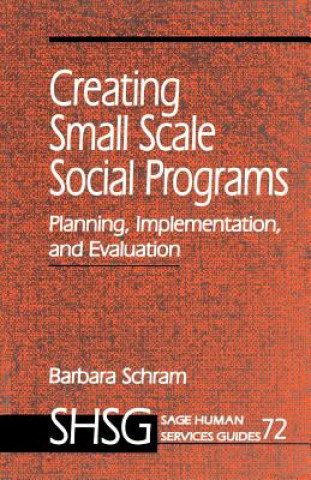 Boek Creating Small Scale Social Programs Barbara Schram