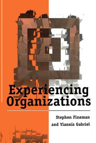 Kniha Experiencing Organizations Stephen Fineman