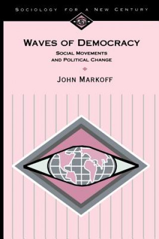 Kniha Waves of Democracy John Markoff