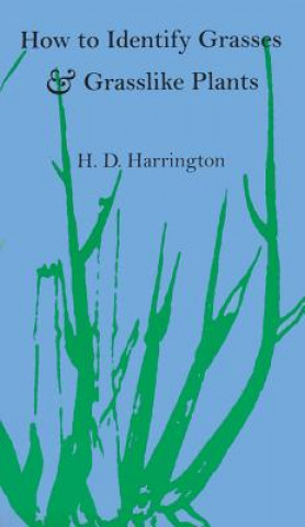 Kniha How to Identify Grasses and Grasslike Plants H D Harrington