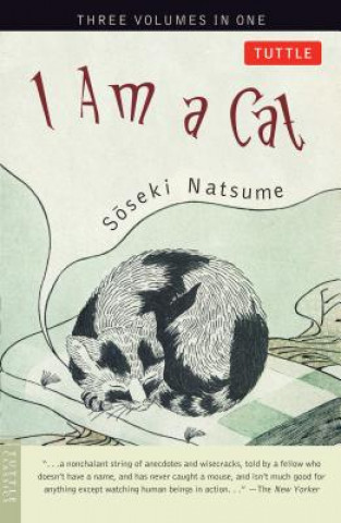 Kniha I Am a Cat Soseki Natsume