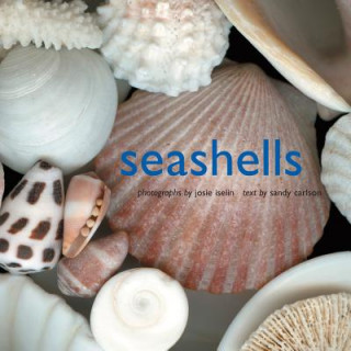 Книга Seashells Josie Iselin