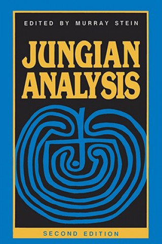 Książka Jungian Analysis Murray Stein