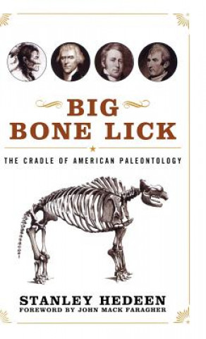 Könyv Big Bone Lick Stanley Hedeen