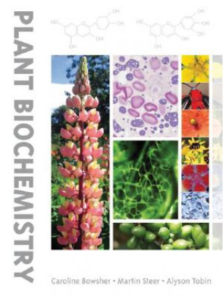 Kniha Plant Biochemistry Caroline Bowsher