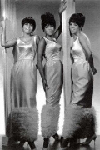 Kniha Dreamgirl and Supreme Faith Mary Wilson