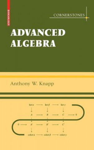 Könyv Advanced Algebra Anthony W. Knapp