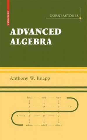 Carte Basic Algebra and Advanced Algebra Set AnthonyW Knapp