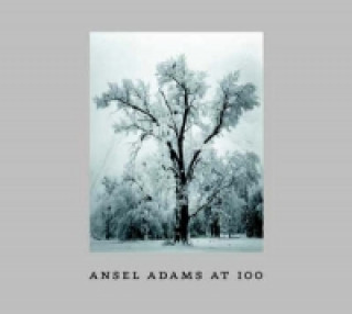 Kniha Ansel Adams at 100 John Szarkowski