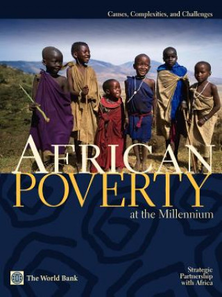 Kniha African Poverty at the Millennium Tony Killick