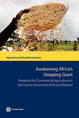 Kniha Awakening Africa's Sleeping Giant Michael Morris