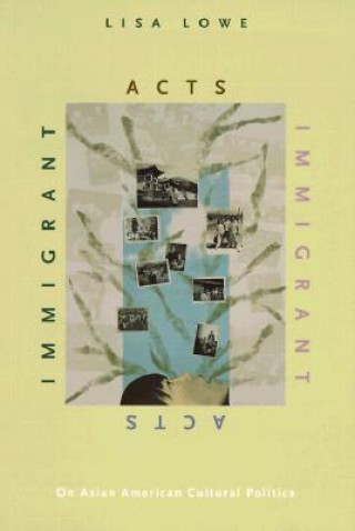 Buch Immigrant Acts Lisa Lowe