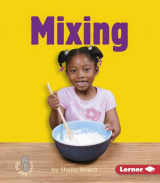 Knjiga Mixing Sheila Rivera