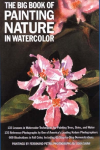 Carte Big Book of Painting Nature in Watercolour 