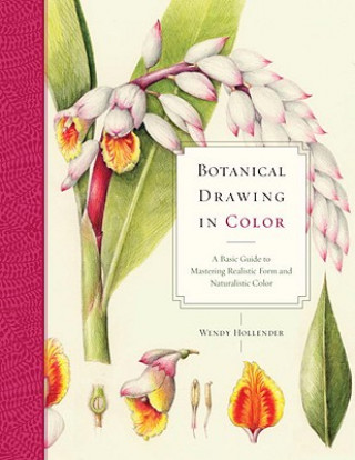 Книга Botanical Drawing in Color Wendy Hollender