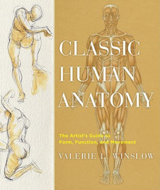 Book Classic Human Anatomy ValerieL Winslow