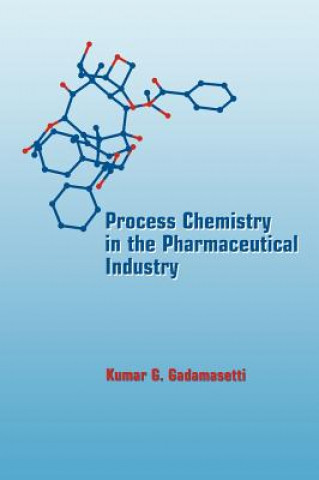 Kniha Process Chemistry in the Pharmaceutical Industry Kumar