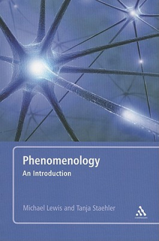 Könyv Phenomenology Michael Lewis