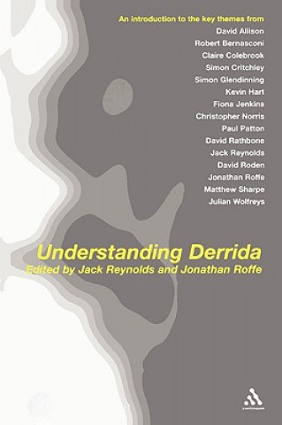 Kniha Understanding Derrida Jack Reynolds